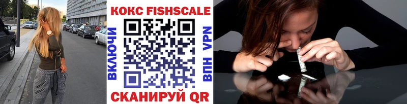цена наркотик  Приозерск  COCAIN FishScale 