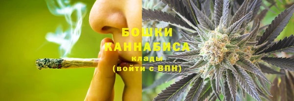 сатива Армянск