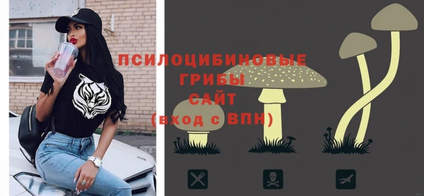 сатива Армянск