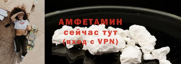 сатива Армянск