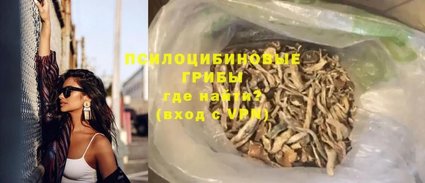 сатива Армянск